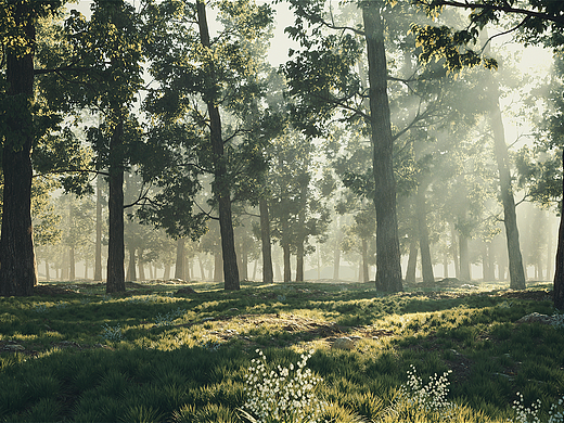 轮回·生（“生生不息”2025明基设计大赛）