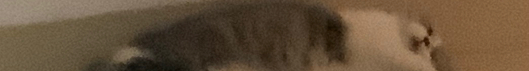 DOBjaven的個(gè)人主頁(yè)（封面預(yù)覽） - 主頁(yè)封面設(shè)置 - 站酷設(shè)計(jì)師DOBjaven原創(chuàng)素材 - 站酷ZCOOL