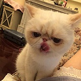 王日斤的头像