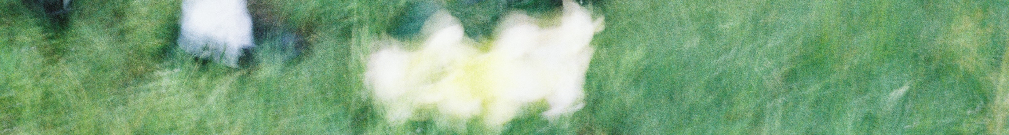 Kira_k的个人主页（封面预览） - 主页封面设置 - 站酷设计师Kira_k原创素材 - 站酷ZCOOL