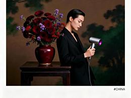 非洲菊、鹤望兰、兰翠菊、万代兰花艺再现