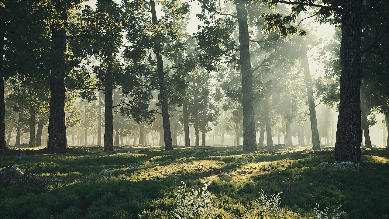 轮回·生（“生生不息”2025明基设计大赛）（图ZMzk5MzI1NjYw） - 动画/影视 - 站酷设计师艺宁Leo原创素材 - 站酷ZCOOL