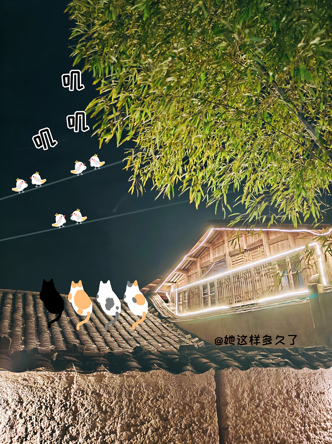 涂鸦 | 深夜猫事（图ZMzk5MzMyMTE2） - 创作习作 - 站酷设计师她这样多久了原创素材 - 站酷ZCOOL