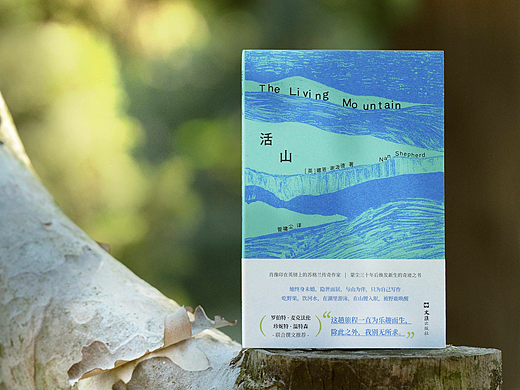 封面设计 | 活山