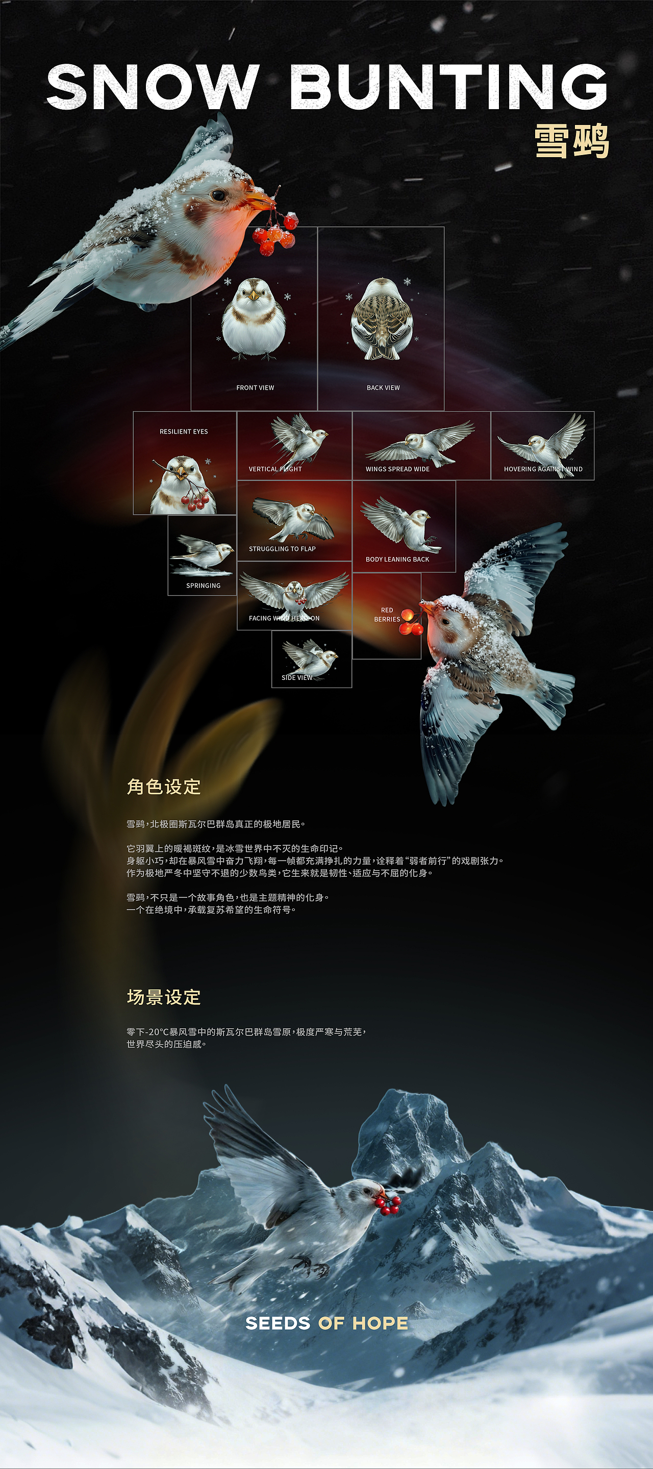 《SEEDS OF HOPE》#Vol.60 爆冷