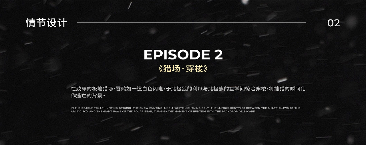 《SEEDS OF HOPE》#Vol.60 爆冷