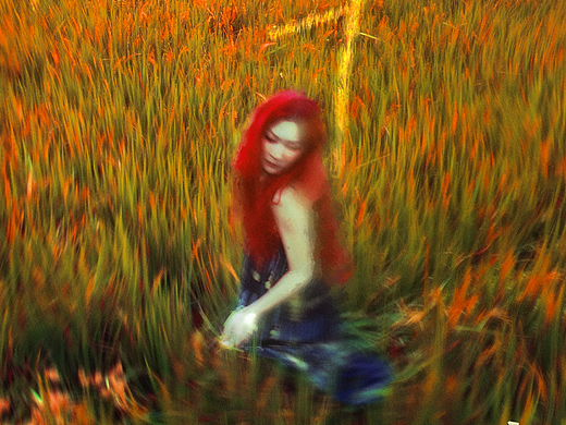 海报设计 | 风吹草动