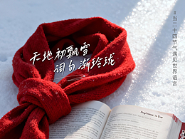 #小雪 #当二十四节气遇见世界语言 #节气海报 #即梦AI