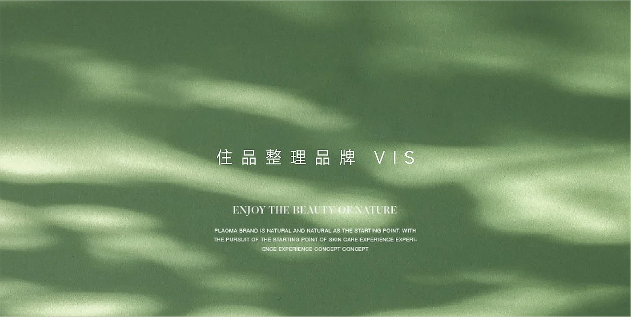 品牌名-住品整理VIS LOGO（图ZMzk5MzYzMzEy） - 品牌 - 站酷设计师努力的小赵原创素材 - 站酷ZCOOL