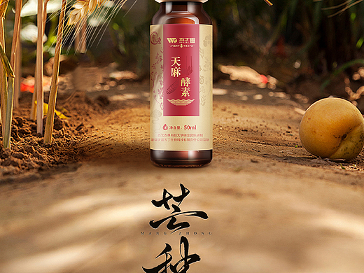 品宣海报合计-2025合集