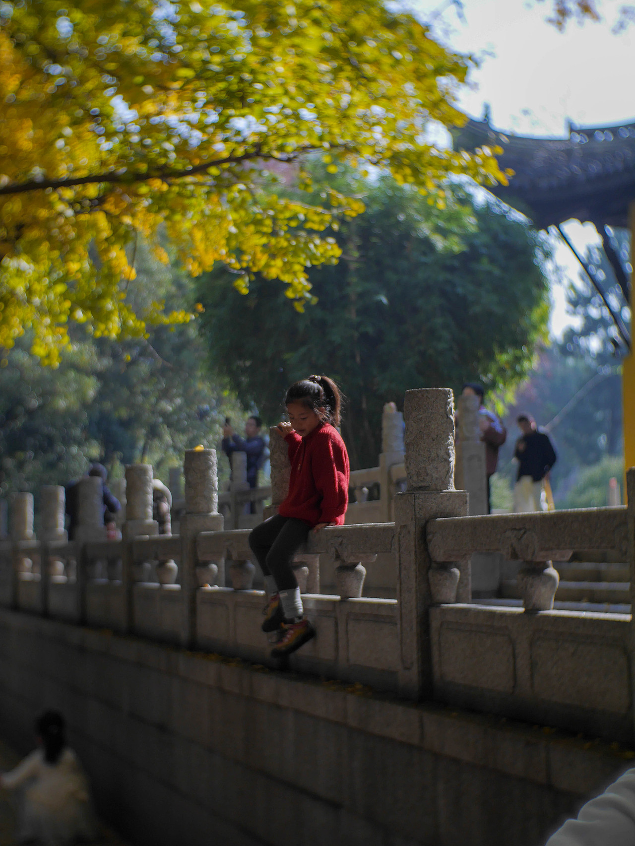 随记-秋（图ZMzk5NDA3NTg0） - 人文/纪实摄影 - 站酷设计师卷饼先生原创素材 - 站酷ZCOOL