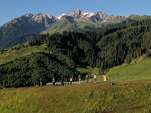 Vlog视频 作者向创作