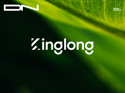 Kinglong琪朗 | 健康照明领军品牌视觉升级全案