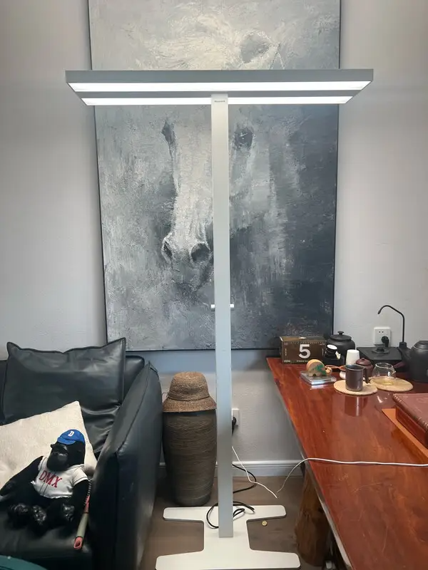 护眼落地灯怎么选？护眼落地灯选择攻略分享，直接冲就好了