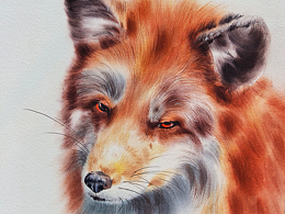 水彩火狐