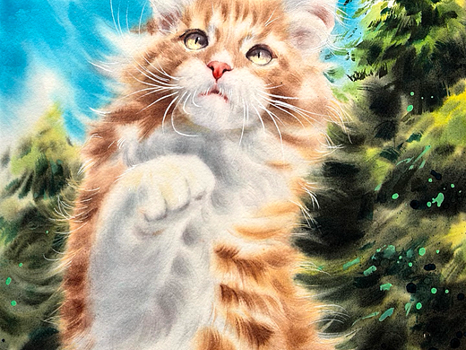 水彩猫咪