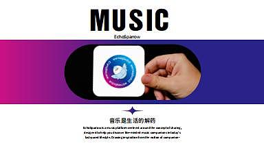 《回声雀》音乐品牌全案设计类型