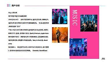 《回声雀》音乐品牌全案设计类型