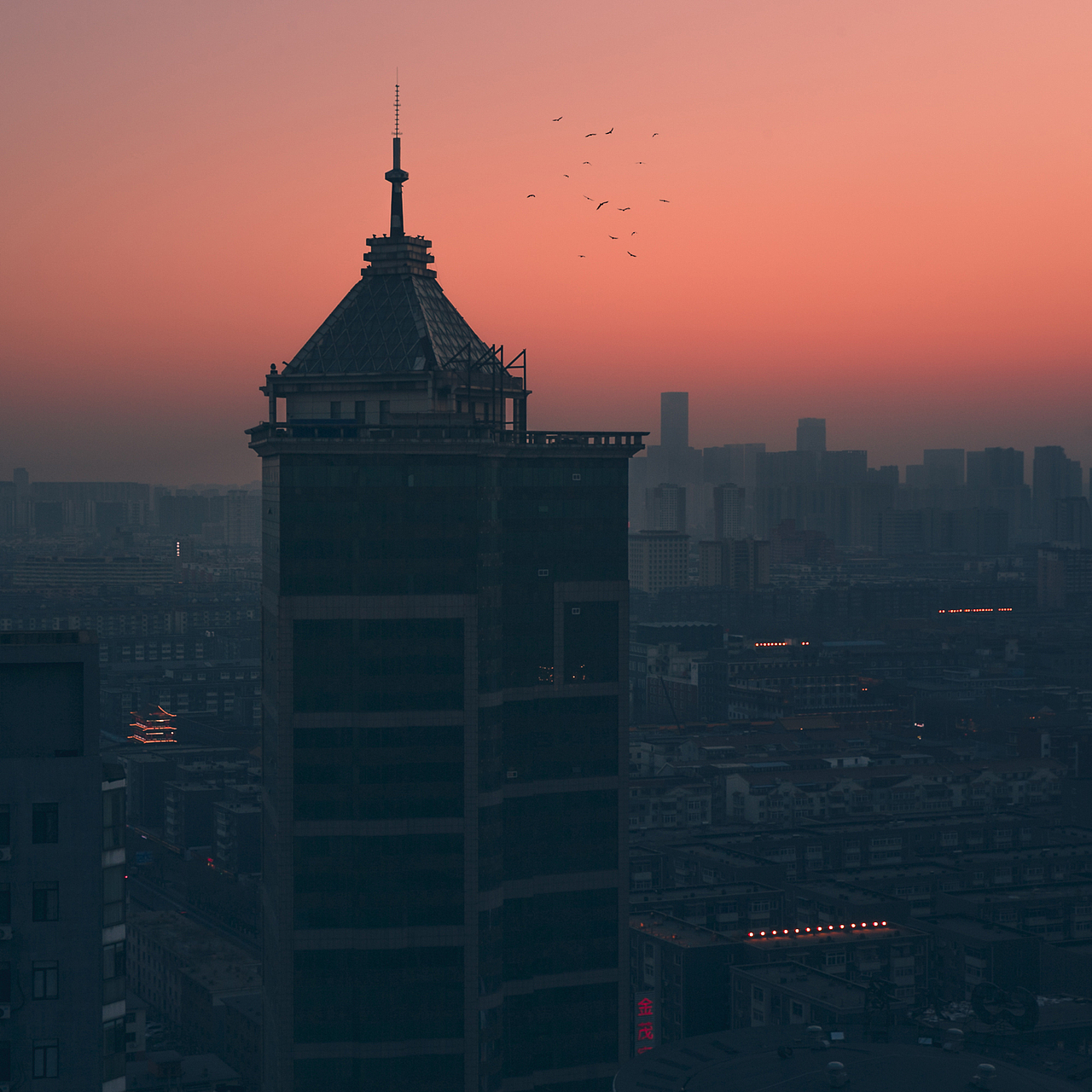 工作室窗外的风景