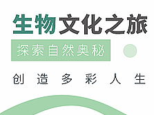 最近的文化墙设计