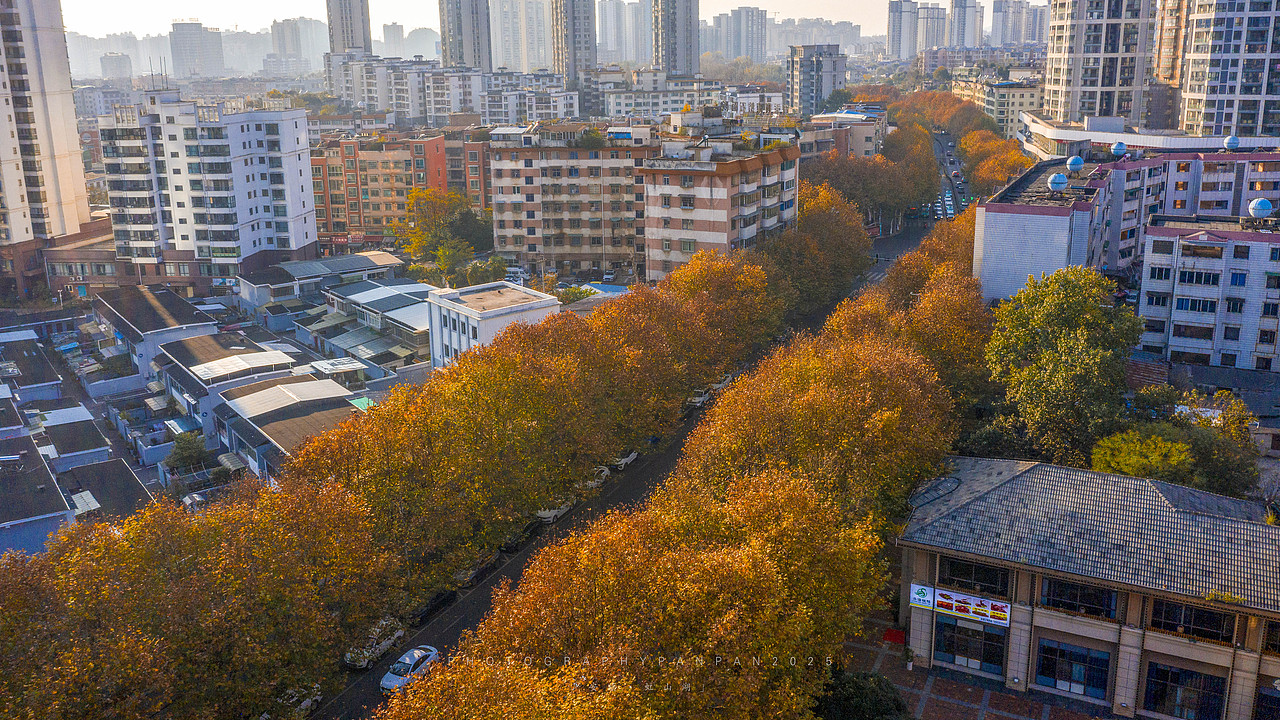 可秋风一吹,便处处有了回响。