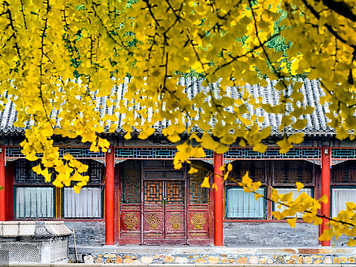 秋天的颐和园湖光为镜山影如画