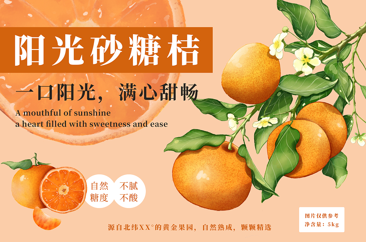 橘子包装插画设计，海报宣传（图ZMzk5NTA5NTk2） - 包装 - 站酷设计师凌小乖不乖原创素材 - 站酷ZCOOL