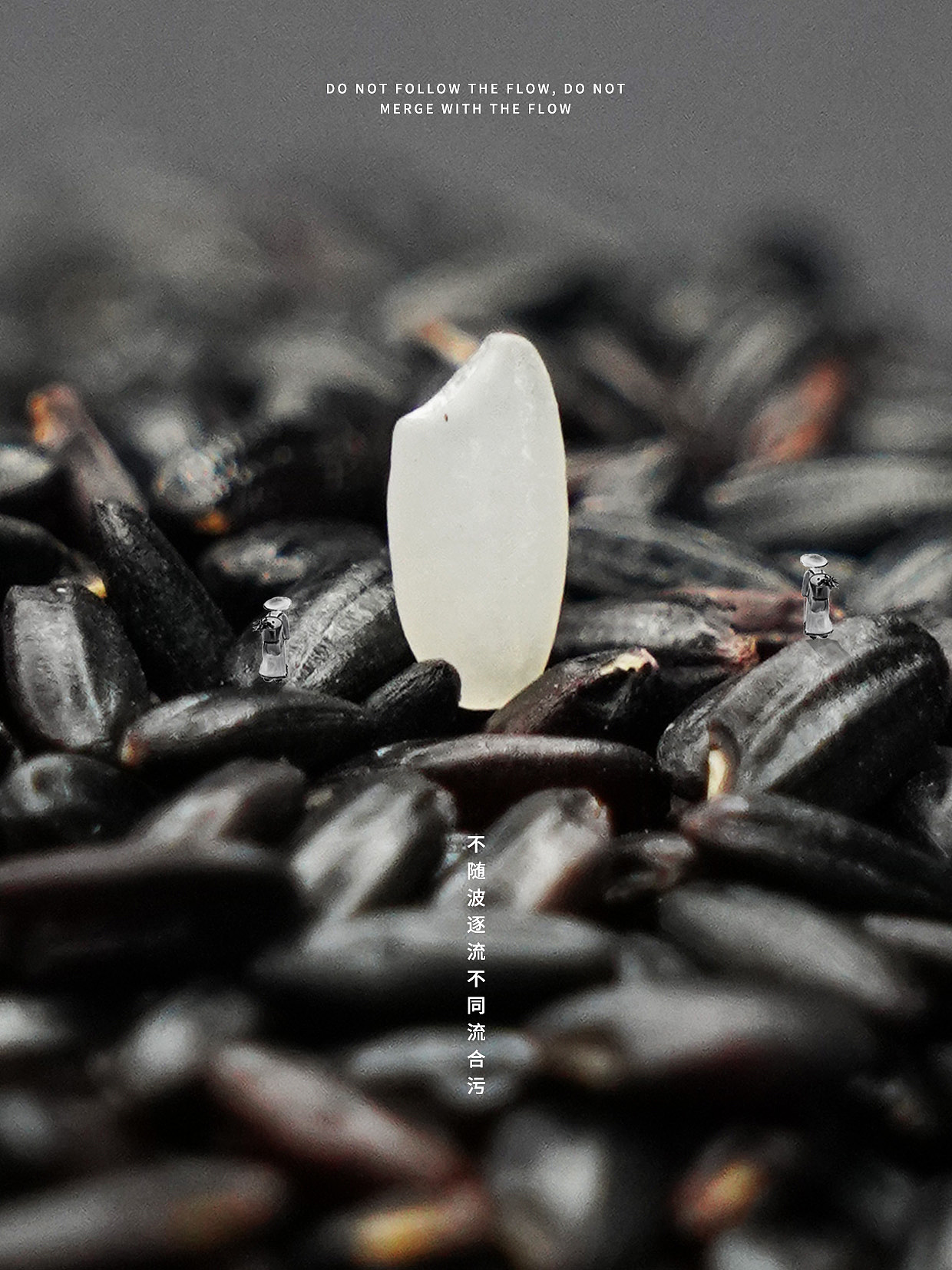 你可能不认识我，但一定看过我的创意