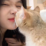 Cynthia心心的头像