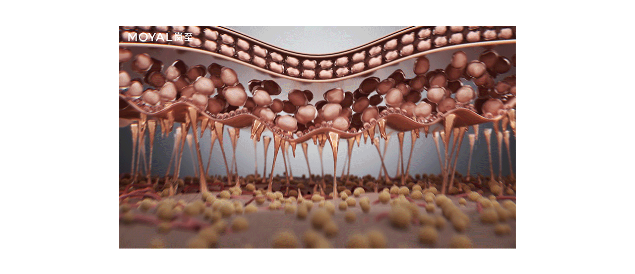 MOYAL岚至 雾光炮 医美院线美容仪 医疗器械 CG动画TVC