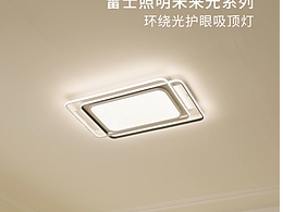 灯具作品