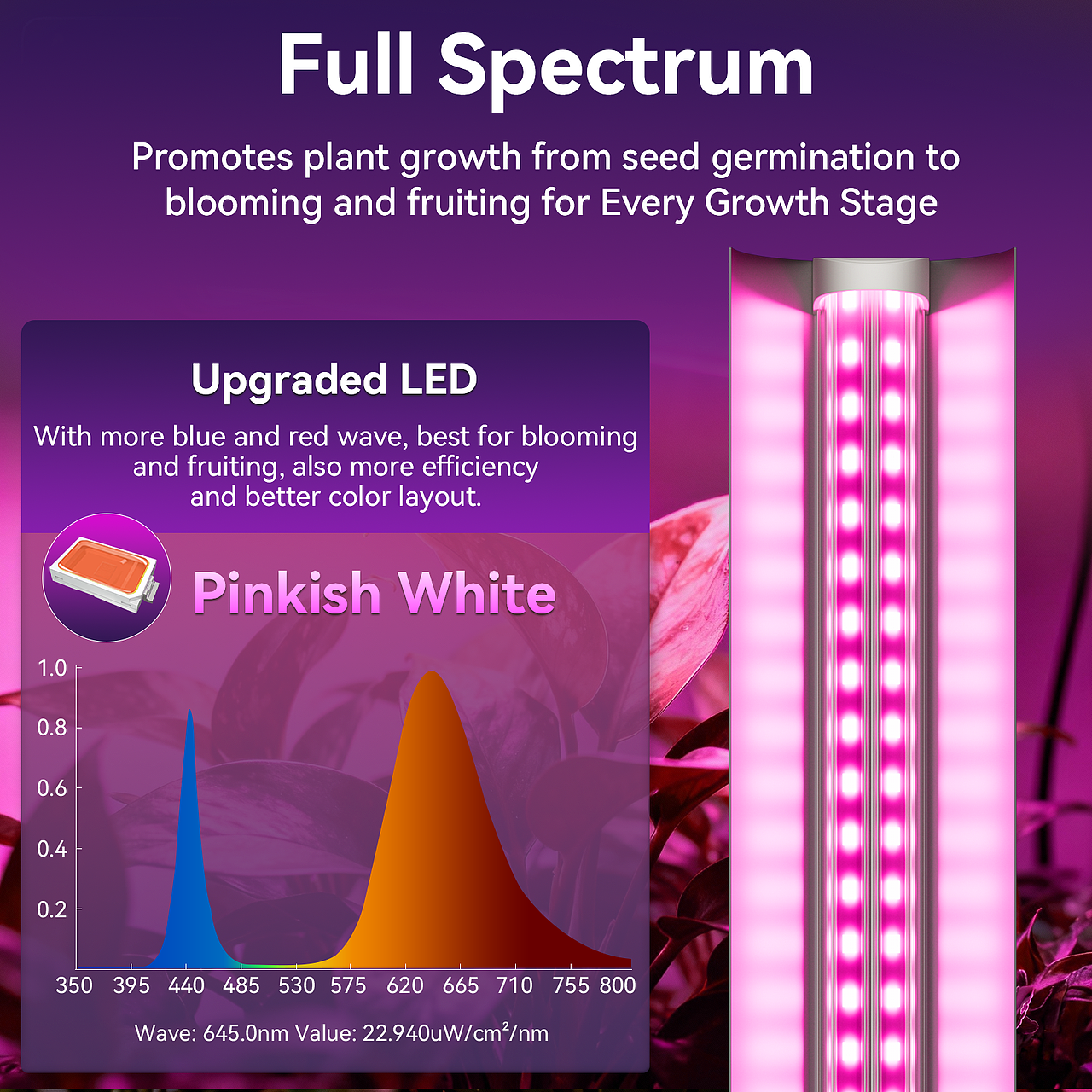 亚马逊主图-蔬菜植物灯设计