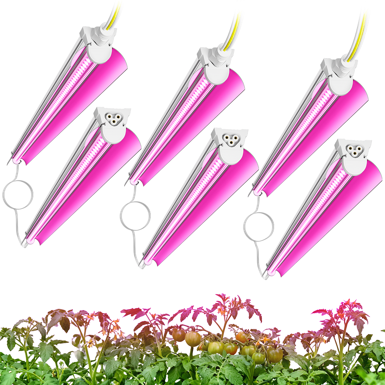 亚马逊主图-蔬菜植物灯设计