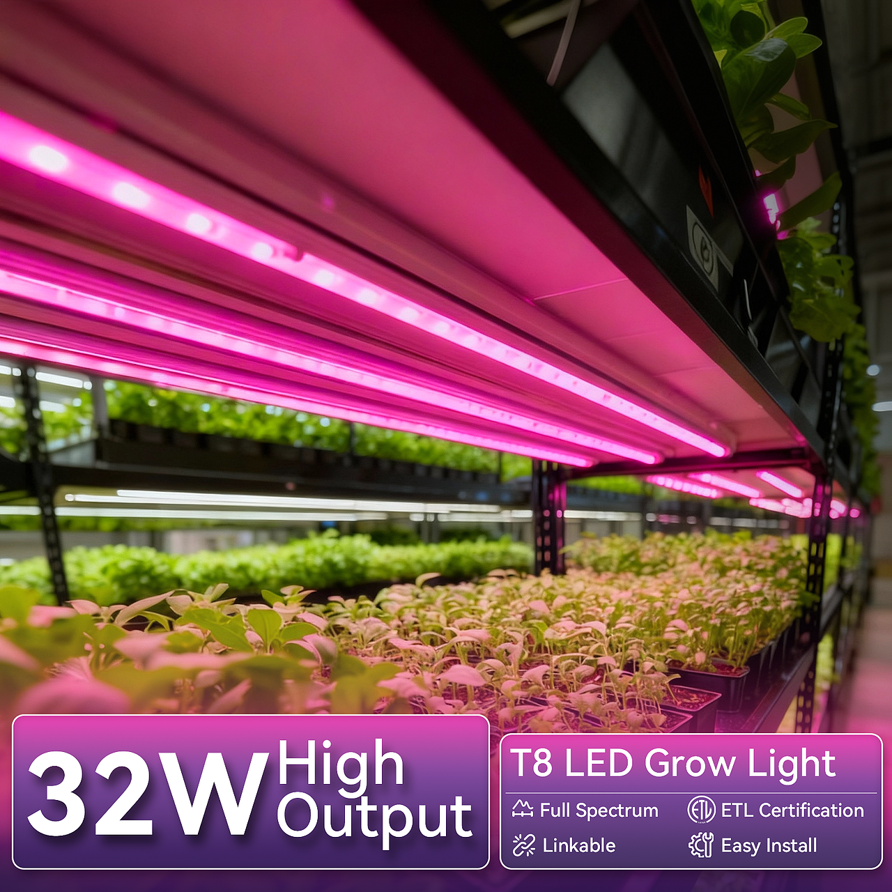 亚马逊主图-蔬菜植物灯设计