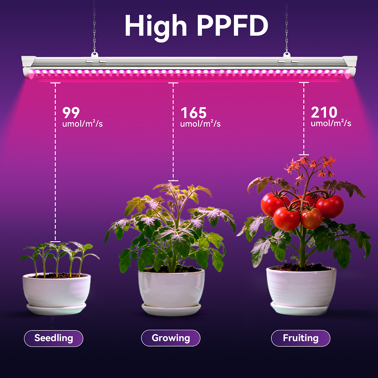 亚马逊主图-蔬菜植物灯设计