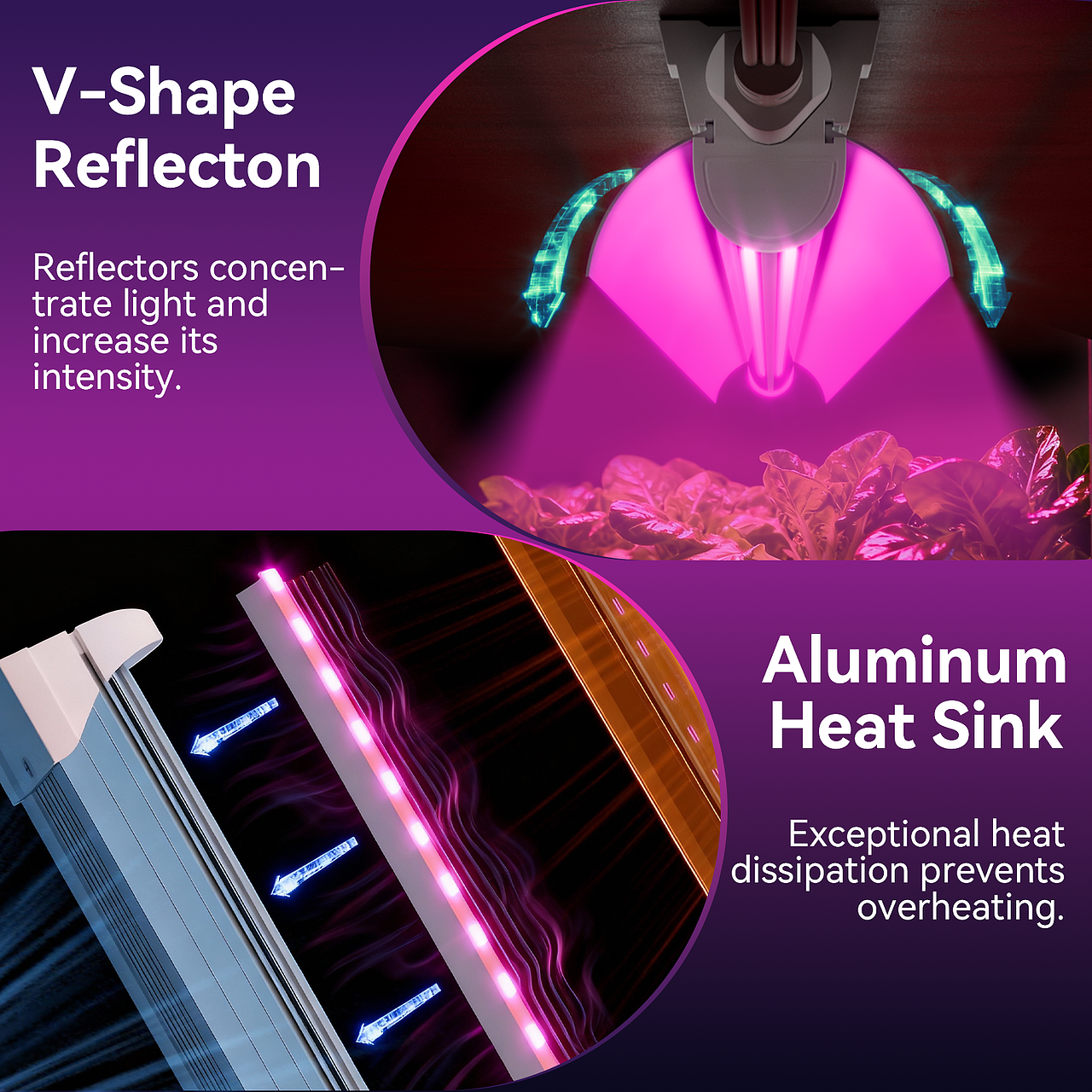 亚马逊主图-蔬菜植物灯设计