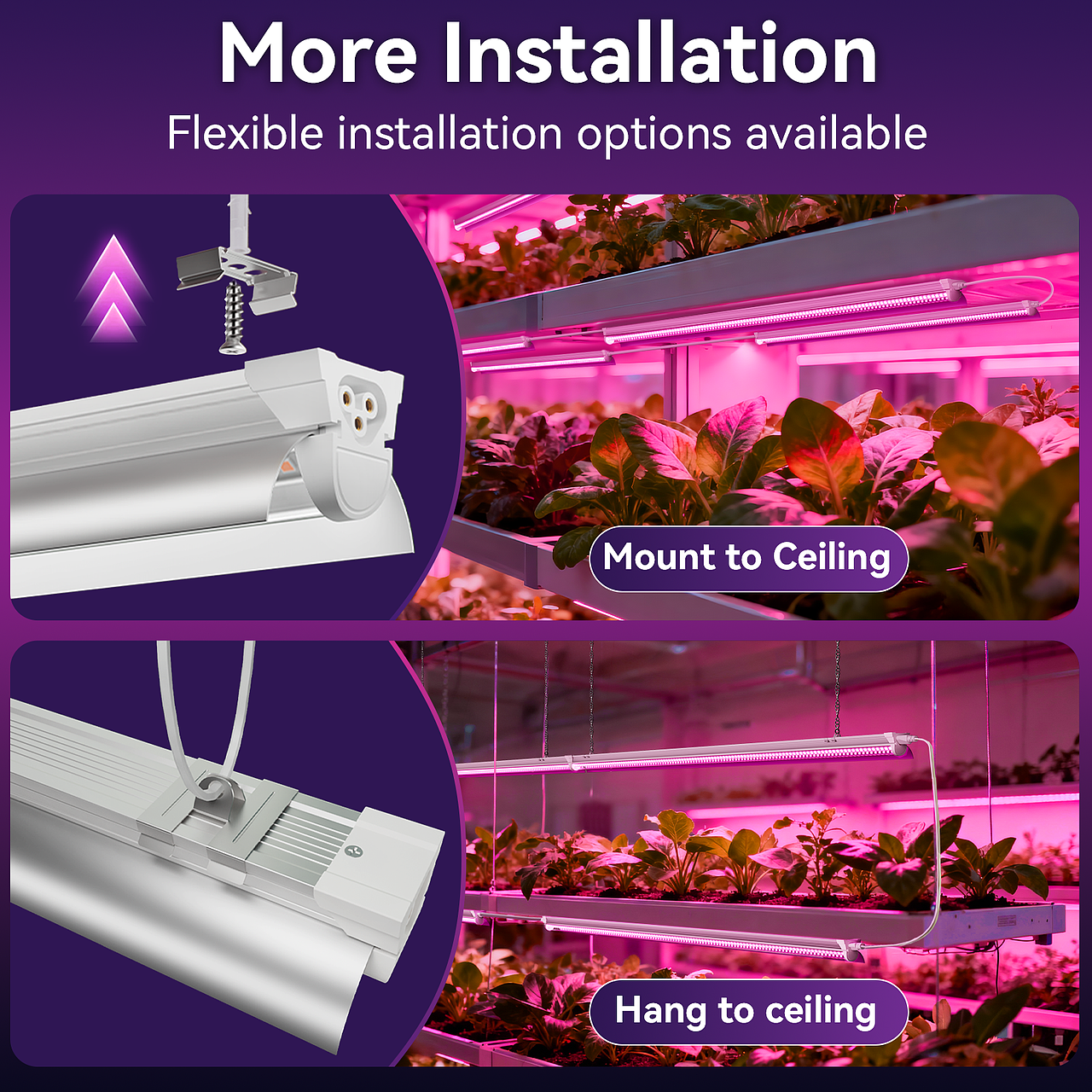 亚马逊主图-蔬菜植物灯设计