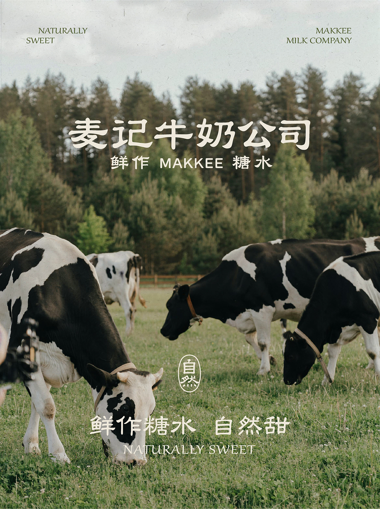 麦记牛奶公司2.0鲜作糖水自然甜餐饮品牌中式品质饮品