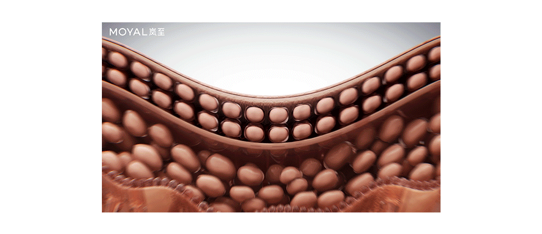 MOYAL岚至 雾光炮 医美院线美容仪 医疗器械 CG动画TVC