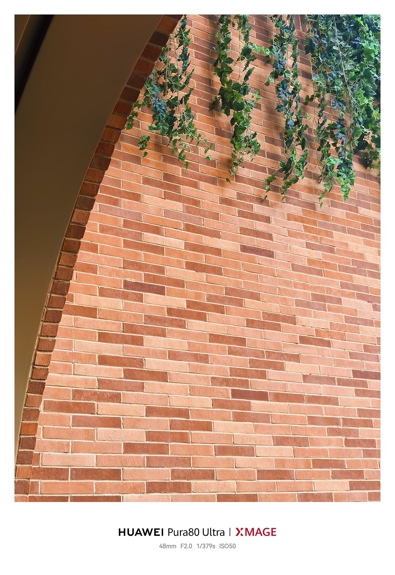 城市“轻氧滤镜”：建筑与自然的诗意交融