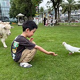 kemin01的头像