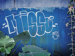 MISSU的一些街頭涂鴉（15-21年）