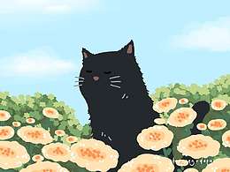 小黑貓的一年四季