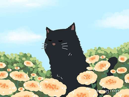 小黑猫的一年四季