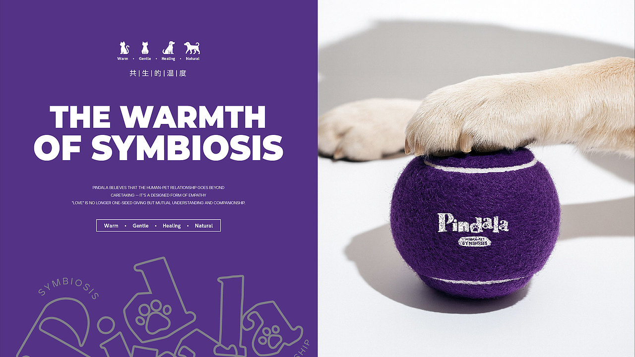 PINDALA 宠物行业品牌设计 共生的温度 向宠而生