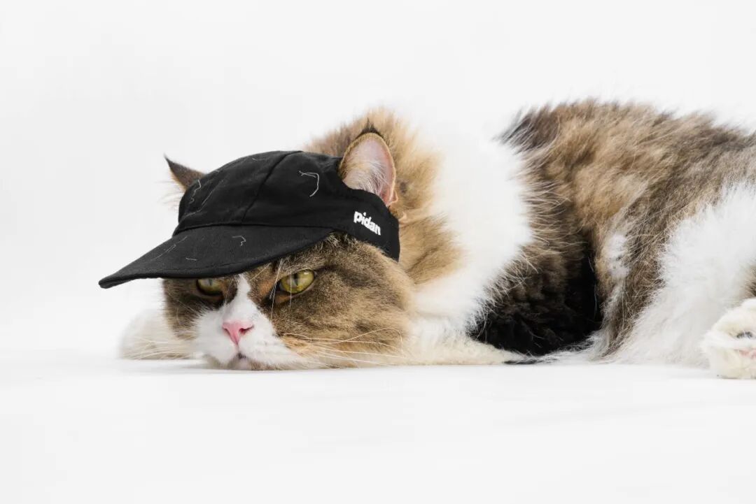 Award360° 2025年度设计奖BEST 100公布-3