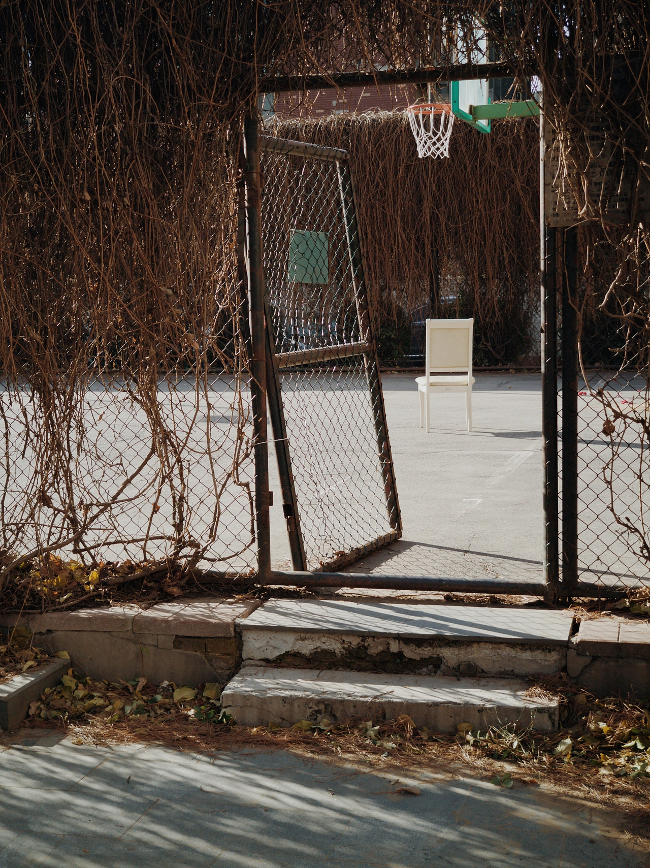 独座无人（图ZMzk5NTc4NTk2） - 人文/纪实摄影 - 站酷设计师费尔影像原创素材 - 站酷ZCOOL