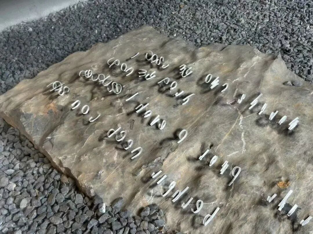 Award360° 2025年度设计奖BEST 100公布-3