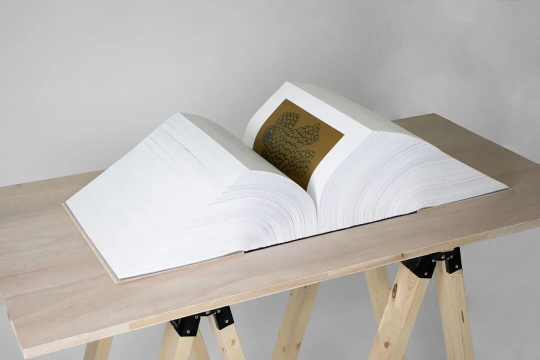 Award360° 2025年度设计奖BEST 100公布-4