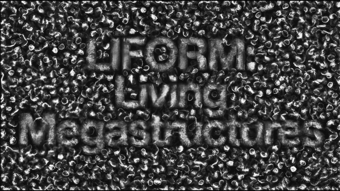 Award360° 2025年度设计奖BEST 100公布-4